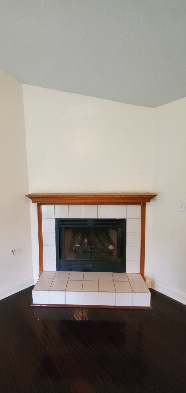 Living Room Gas Fireplace - 2999 Blue Pine Ln