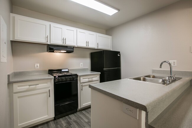 Cinnamon Tree - Apartments in Albuquerque, NM | Apartments.com