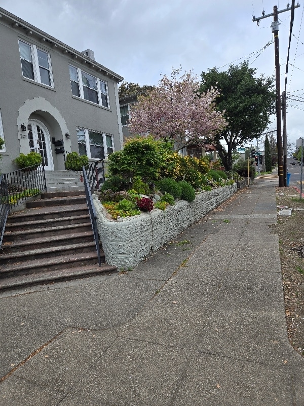 Primary Photo - 203 Howard St