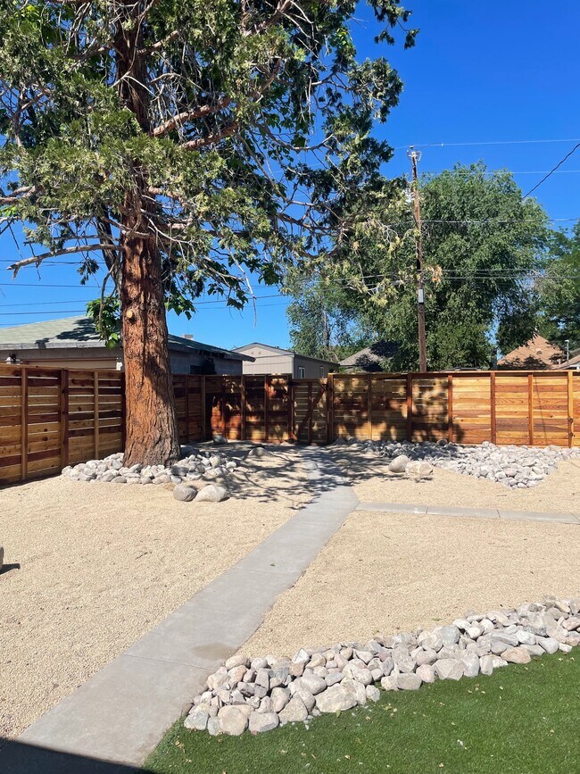 back yard - 421 4th St