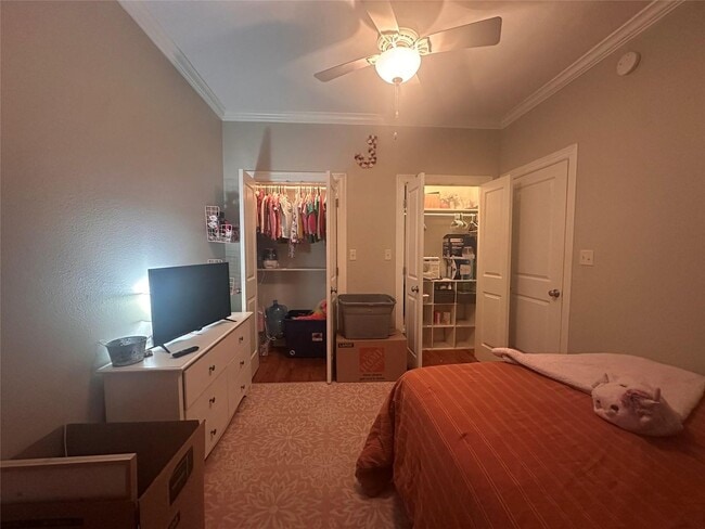 Building Photo - Broadmoor Rental
