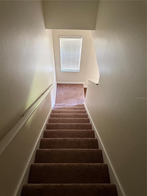 Building Photo - 287 Winding Vine Ln