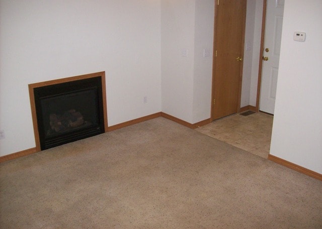 Gas Fireplace and Coat Closet - 3027 N Fremont Ave