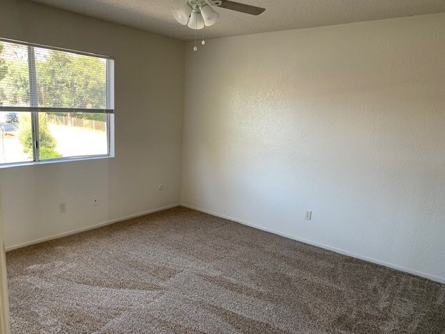 Building Photo - 6440 Ardilla Rd