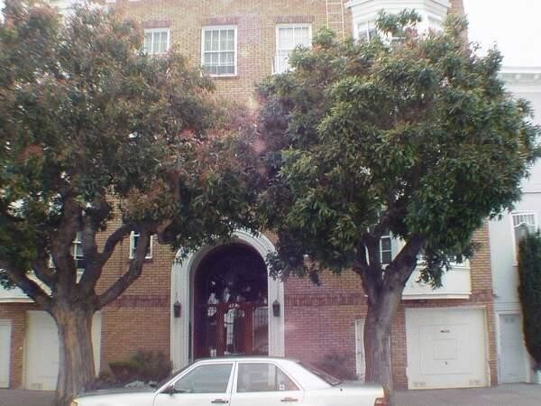 Primary Photo - 1 bedroom in San Francisco CA 94123