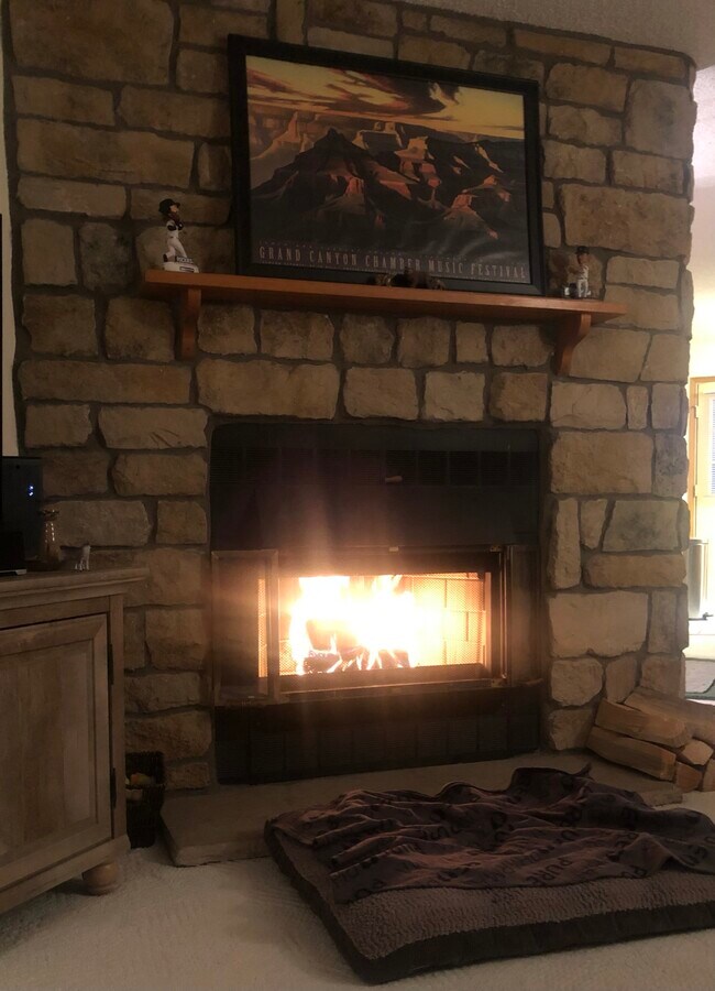 Chimenea en la sala de estar - 8185 S Fillmore Cir