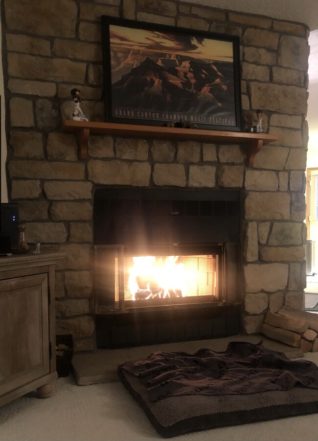 Fireplace in Living room - 8185 S Fillmore Cir Townhome