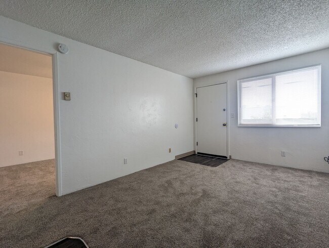 Building Photo - Updated 1-Bedroom, 1-Bath Apartment In Spr...