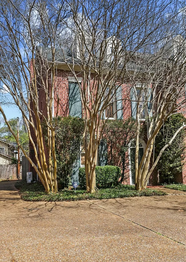 Building Photo - 818 Oakwood St