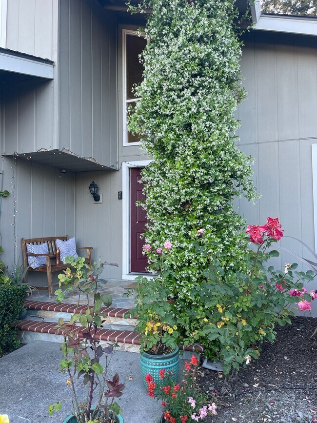 Building Photo - Pleasanton, Fairlands 4 Br. 3 Ba. Cabana C...
