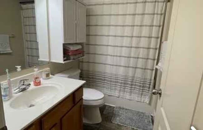 Building Photo - Amazing 2 Bedroom - 1 Bath Condo in University Heights
