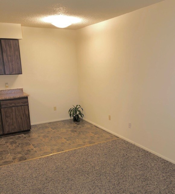 617 S. Campbell Apartments in Springfield, MO