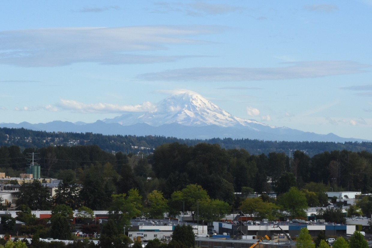 Vista desde el apartamento - 229 Andover Park E