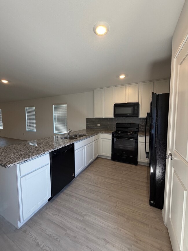 Building Photo - 11719 Bone Spg Dr