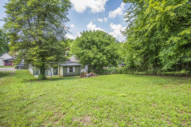 Yard/Back of house - 2208 Lincoln Street