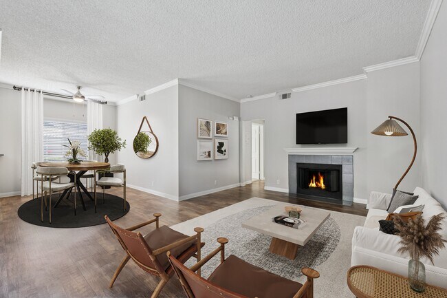 Foto del edificio - Paloma Summit Condominium Rentals