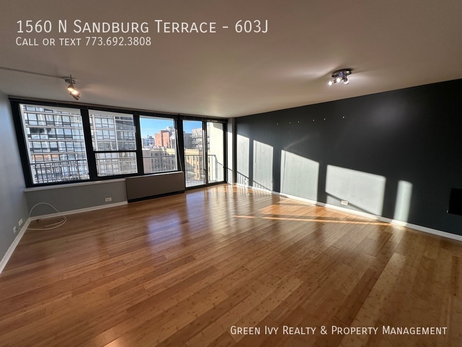 1560 N Sandburg Terrace Unit 603J, Chicago, IL 60610 Condo for Rent