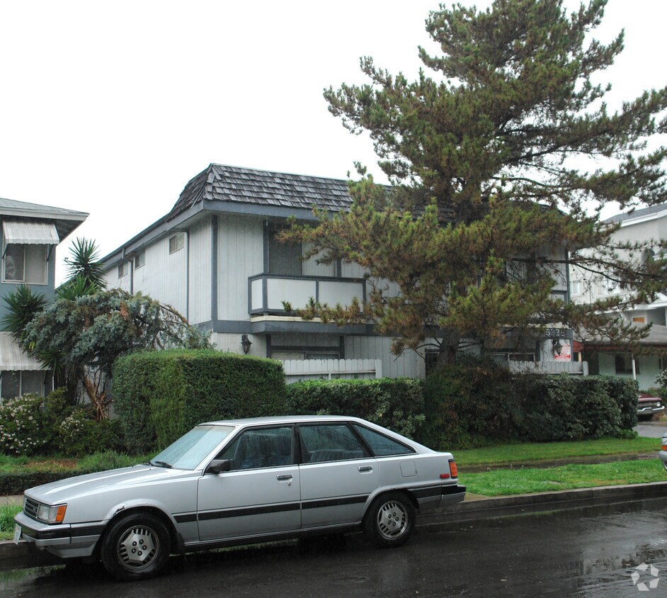 árbol obstruction - Satsuma Apartments