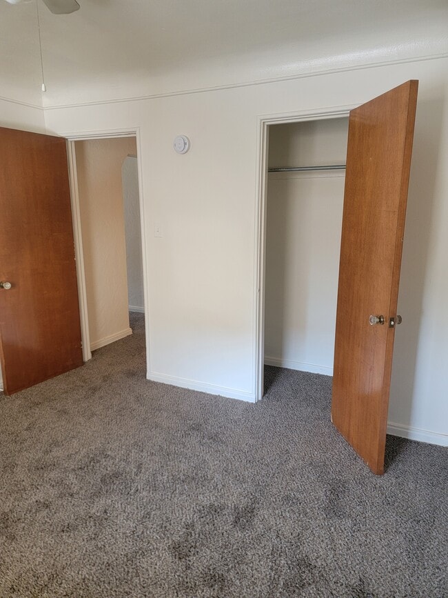 Building Photo - The Albion Apartments