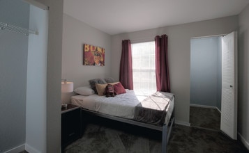 Bedroom - The Boulevard at Tallahassee - Student Living