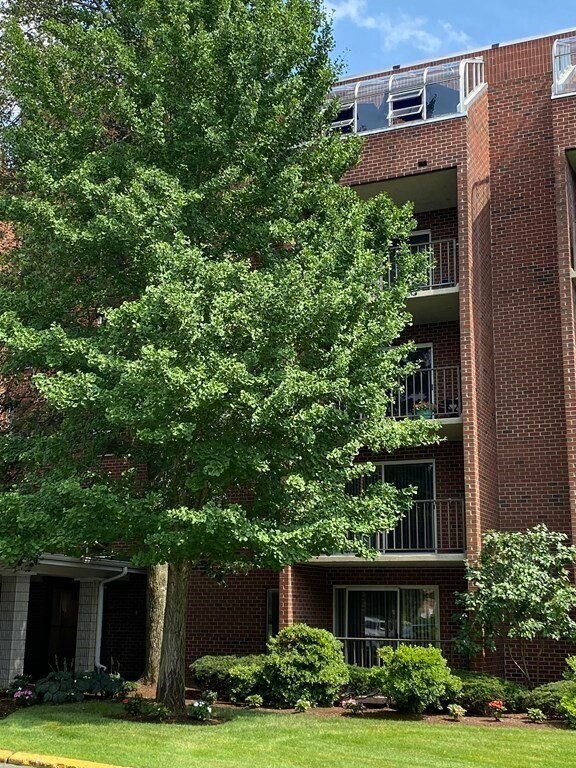 Foto del edificio - 50-56 Broadlawn Park