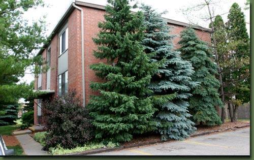 Building Photo - 5114 Jo Don Dr