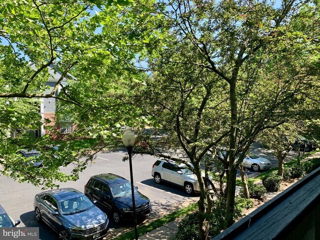 Foto del edificio - 20301 Beechwood Terrace