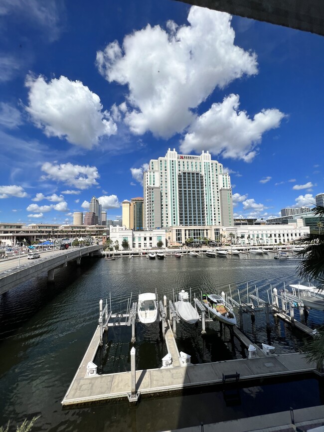 View from the apartment - 700 S Harbour Island Blvd