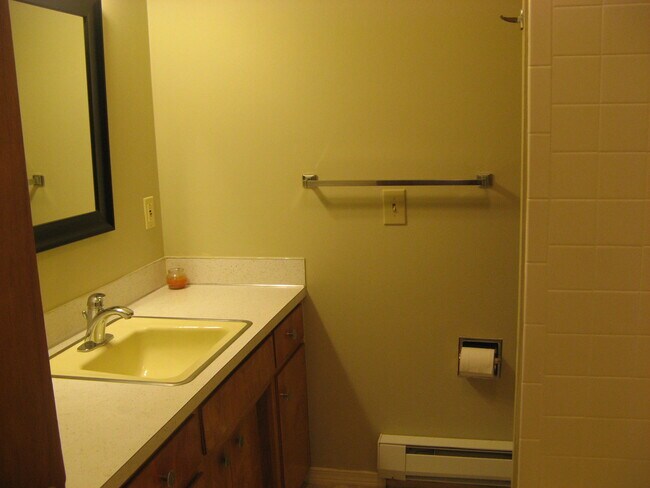 Bathroom (before new counters) - 1825 S 310th St