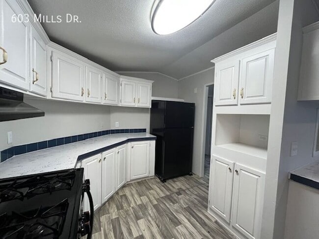 Foto del edificio - 603 N Mills Dr