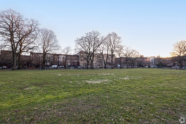 Parks are surrounded by apartments and homes in Bed-Stuy.