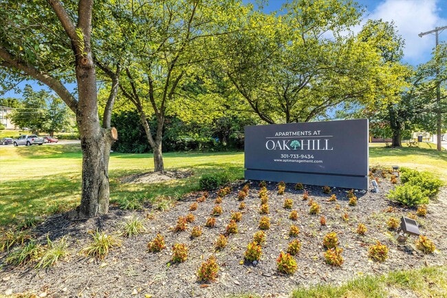 Foto del interior - The Apartments at Oak Hill