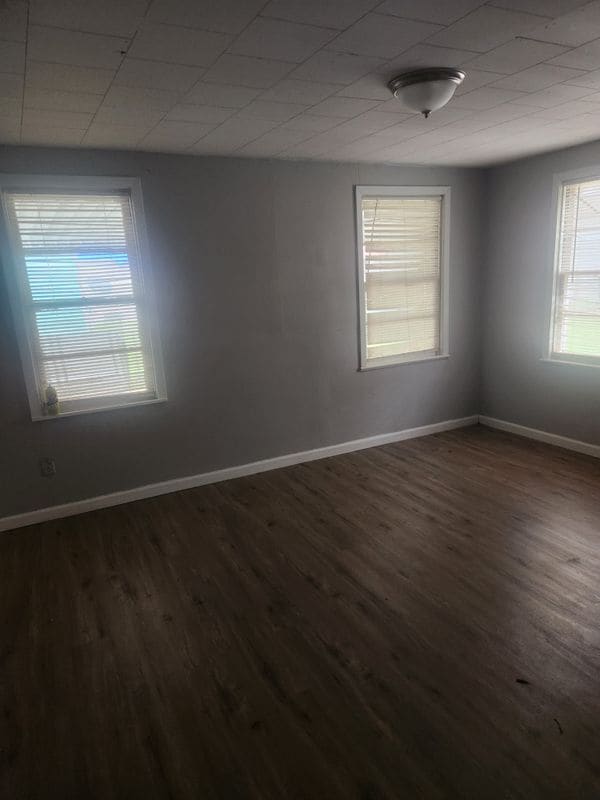 Building Photo - 1517 Live Oak St