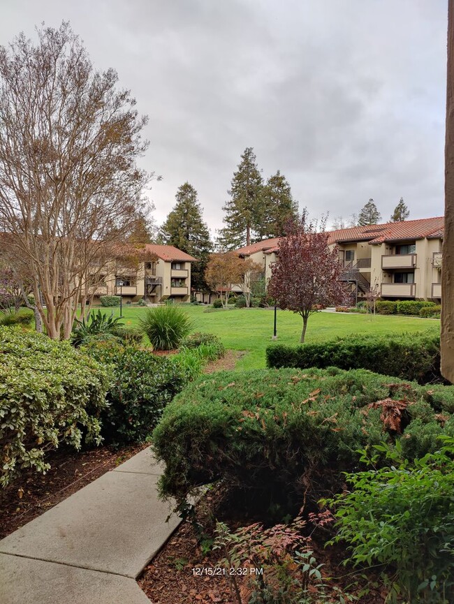 South Fremont - 2 beds and 2 baths 1st Flo... - South Fremont - 2 beds and 2 baths 1st Flo... House