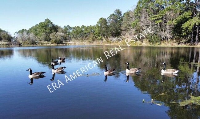 Foto del edificio - Home overlooking a pond