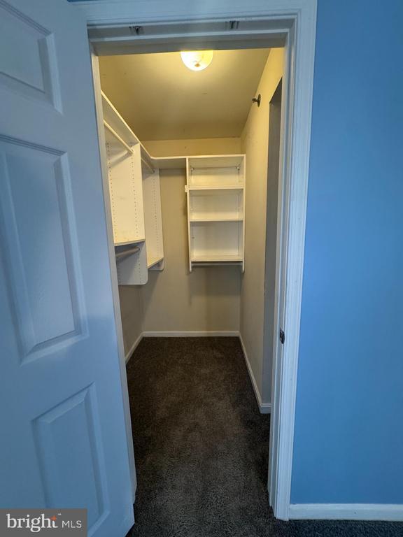 Building Photo - 1302 Sugarwood Cir