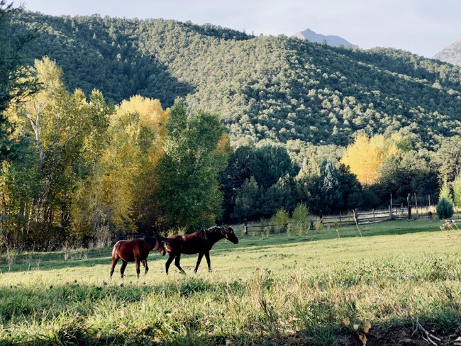 Building Photo - 115 Loop Dr