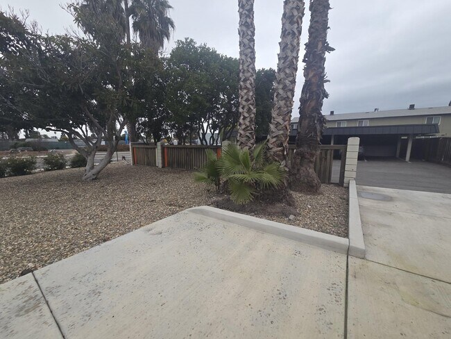 Foto del edificio - 1007 Bluebell Dr