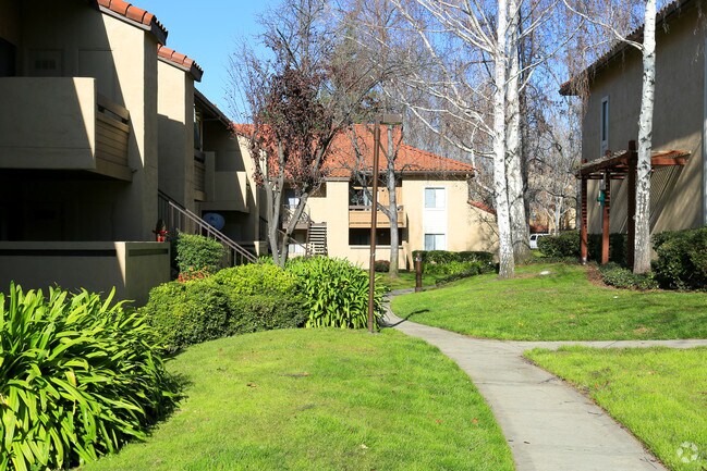 San Marino Apartments San Jose San Marino Apartments San Jose