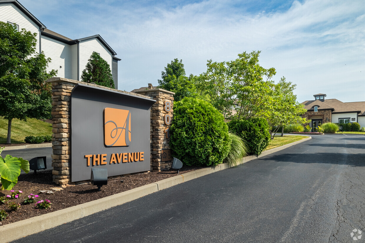 Primary Photo - The Avenue at Nicholasville