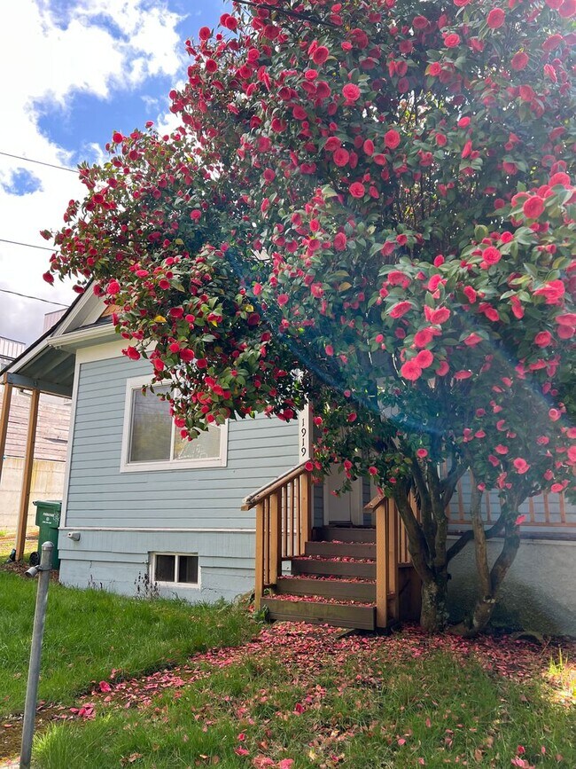 Photo - 1919 Duplex Apartment