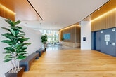 Located at 77 Bruton Street in San Francisco, this thoughtfully designed lobby and amenity space offers a welcoming first impression through floor-to-ceiling glass entry doors that flood the interior with natural light. The expansive single-floor layout encompasses a generously sized open area finished with polished terrazzo flooring that transitions seamlessly into warm hardwood near the elevator bank. A standout feature is the dramatic wood slat accent wall, backlit with ambient LED lighting and anchored by a vibrant blue art piece, creating a striking focal point throughout the space. The lounge area is furnished with contemporary seating arrangements beneath oversized globe pendant lights, lending a relaxed yet refined atmosphere. Blue-paneled elevators are framed by the same rich wood slatted ceiling detail, providing visual continuity. A secondary transitional area connects to an expansive outdoor courtyard, where terrazzo floors give way to large-format concrete pavers. The landscaped courtyard features raised planters, ornamental grasses, mature trees, and outdoor seating areas ideal for gathering. The building's multi-story façade surrounds the courtyard on all sides, with warm wood vertical fins adding architectural warmth to the otherwise contemporary grey exterior. Lush indoor greenery, including mature fiddle-leaf fig trees, reinforces the connection between interior and outdoor environments throughout.