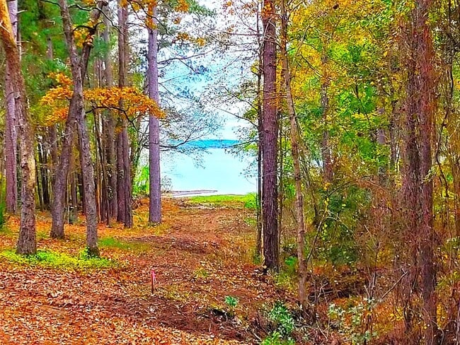 Building Photo - Breathtaking Lake View Retreat with Modern...