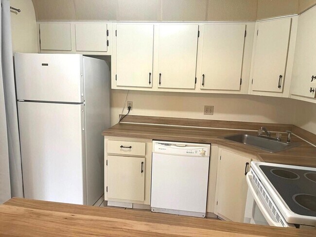 Foto del edificio - 531 Shady Pine Way