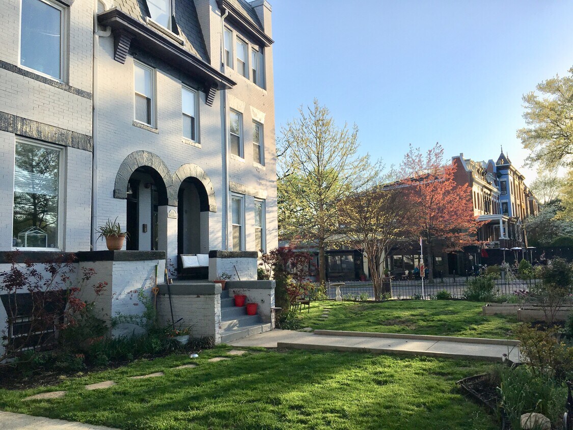 The large yard - 1038 Lamont St NW
