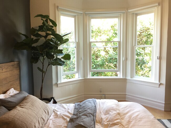 ample light in bay windows - 59 Beideman St