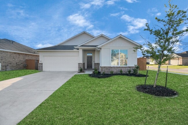 Foto del edificio - Beech