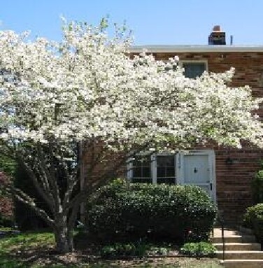 Primary Photo - 168 Normandy Hill Dr
