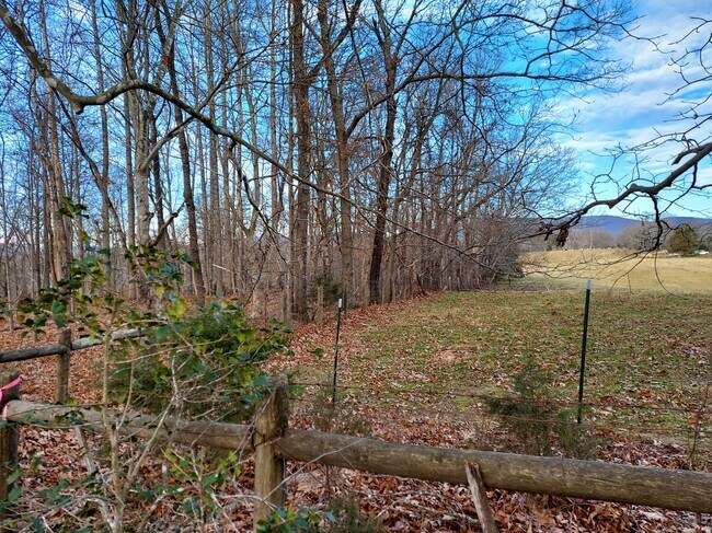 View from the side yard - 1199 Browns Gap Tpke