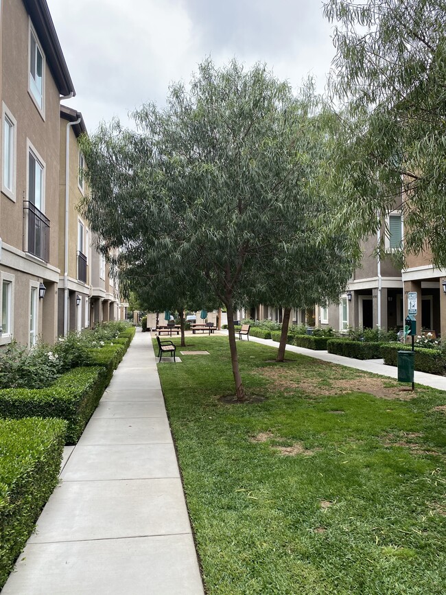 Green Belt - 14701 Sherman Way